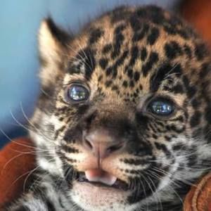 Meet your Posher, Drew